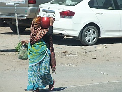 Jaipur (58)